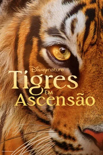 Pôster de Tigres em Ascensão (2024)