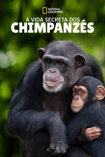 Pôster de A Vida Secreta dos Chimpanzés (2020)