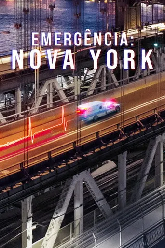 Pôster de Emergência: Nova York (2023)