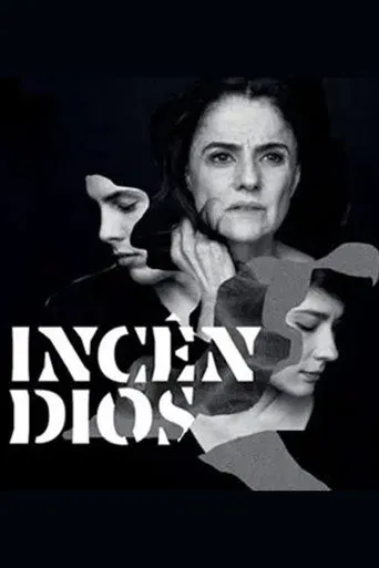 Pôster de Incêndios (2014)