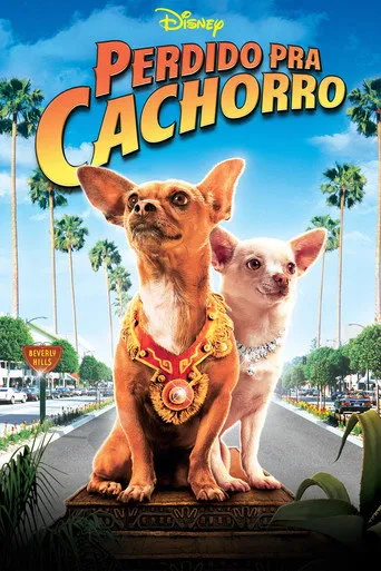 Pôster de Perdido pra Cachorro (2008)
