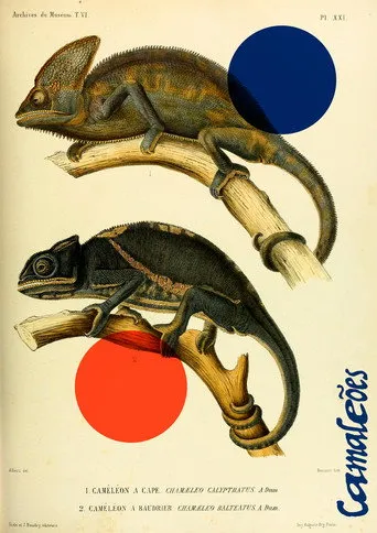 Pôster de Camaleões (2022)
