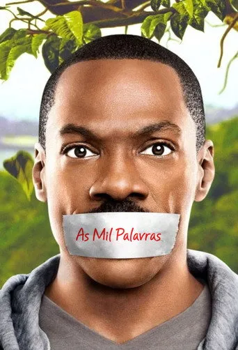 Pôster de As Mil Palavras (2012)