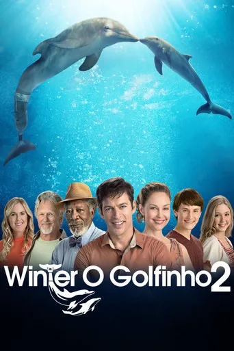 Pôster de Winter, o Golfinho 2 (2014)