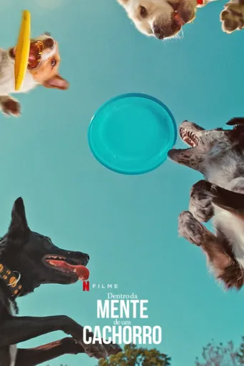 Pôster de Dentro da Mente de um Cachorro (2024)