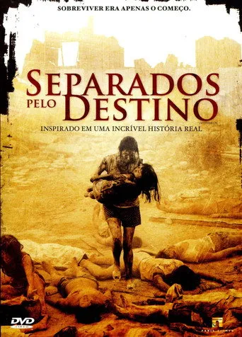 Pôster de Separados Pelo Destino (2010)