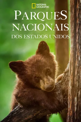 Pôster de Parques Nacionais dos Estados Unidos (2022)