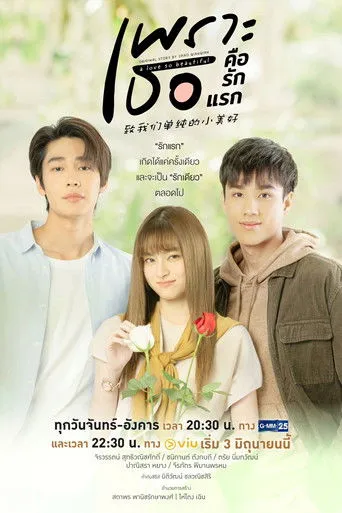 Pôster de A Love So Beautiful (2024)