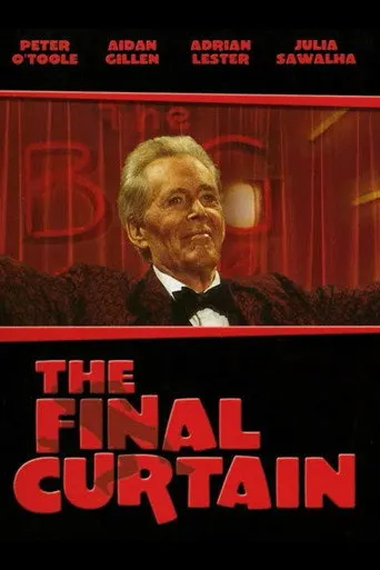 Pôster de O Campeão de Audiência (2002)