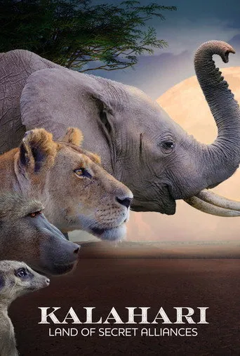 Pôster de Kalahari: Terra das Alianças Secretas (2022)