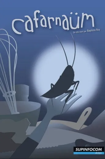 Pôster de Cafarnaum (2012)