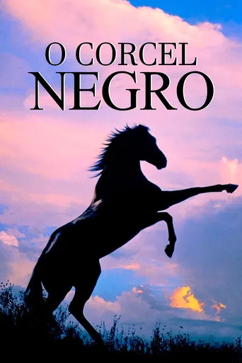 Pôster de O Corcel Negro (1979)