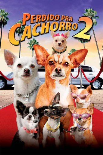 Pôster de Perdido pra Cachorro 2 (2011)