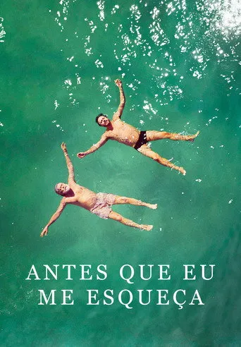 Pôster de Antes Que Eu Me Esqueça (2017)