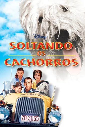 Pôster de Felpudo, O Cão Feiticeiro (1959)