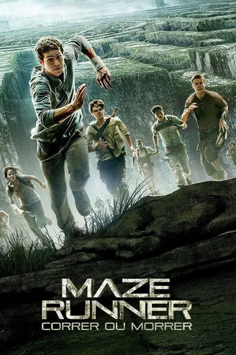 Pôster de Maze Runner: Correr ou Morrer (2014)