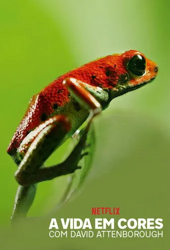 Pôster de A Vida em Cores com David Attenborough (2021)