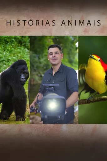 Pôster de Histórias de Animais (2023)
