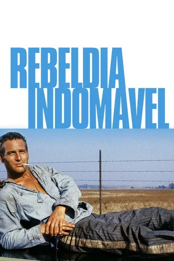 Pôster de Rebeldia Indomável (1967)