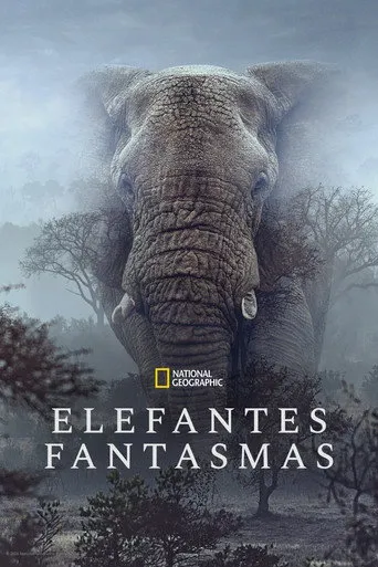 Pôster de Elefantes Fantasmas (2026)
