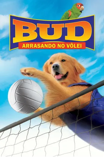 Pôster de Bud 5: Arrasando no Vôlei! (2003)