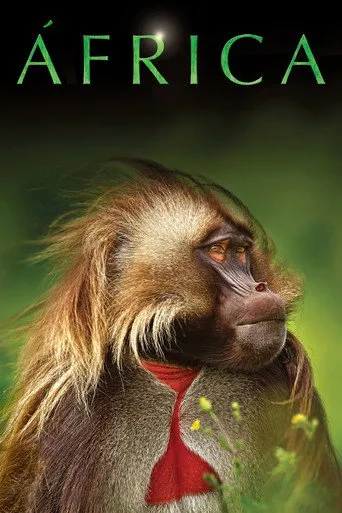 Pôster de África (2013)