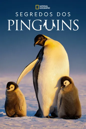 Pôster de Segredos dos Pinguins (2025)