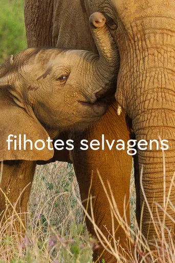 Pôster de Filhotes Selvagens (2022)