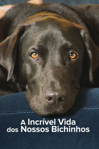 Pôster de A Incrível Vida dos Nossos Bichinhos (2022)