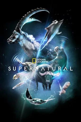 Pôster de Super Natural (2022)