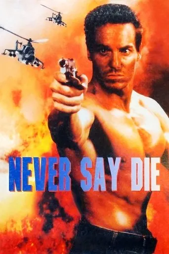 Pôster de Operação de Risco (1994)