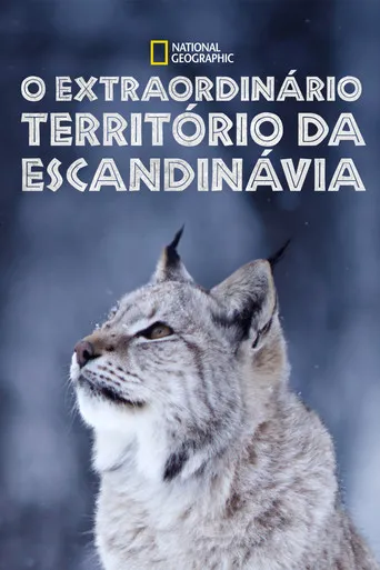 Pôster de O Extraordinário Território da Escandinávia (2019)