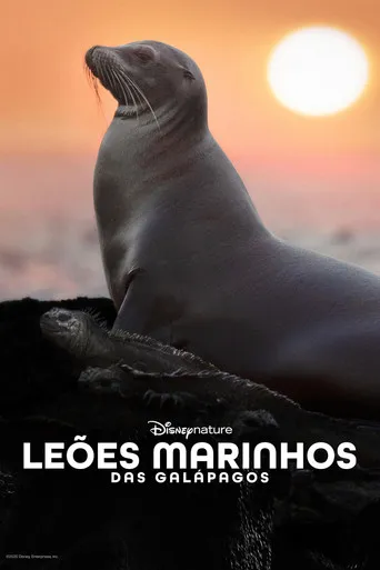 Pôster de Leões-Marinhos de Galápagos (2025)