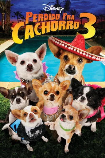 Pôster de Perdido pra Cachorro 3 (2012)