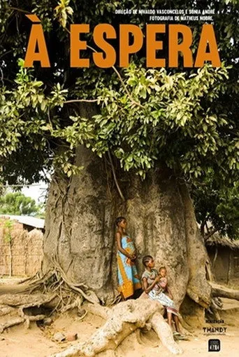 Pôster de A Espera (2016)