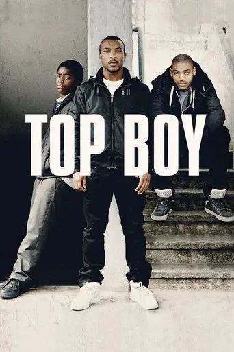 Pôster de Top Boy: Summerhouse (2011)