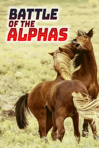 Pôster de Batalha dos Alfas (2022)