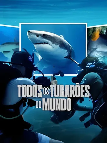 Pôster de Todos os Tubarões do Mundo (2025)