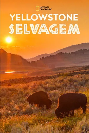 Pôster de Yellowstone Selvagem (2015)