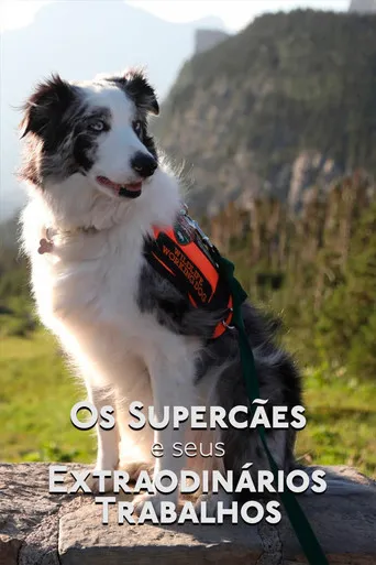 Pôster de Os Supercães e Seus Extraordinários Trabalhos (2019)