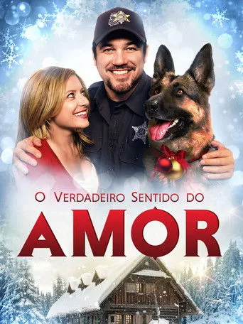 Pôster de O Verdadeiro Sentido do Amor (2014)