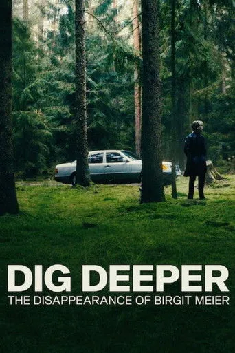 Pôster de O Desaparecimento de Birgit Meier (2021)