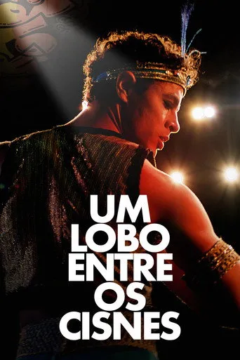 Pôster de Um Lobo entre os Cisnes (2025)
