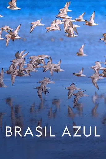 Pôster de Brasil Azul 4K