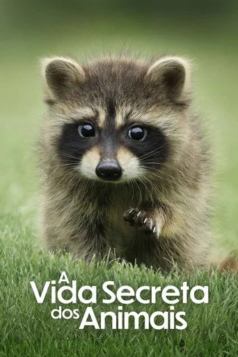 Pôster de A Vida Secreta dos Animais (2024)
