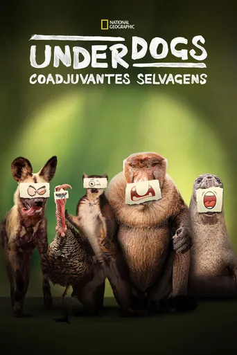 Pôster de Underdogs: Coadjuvantes Selvagens (2025)