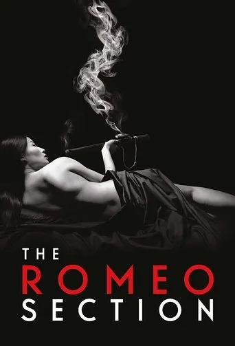 Pôster de Operação Romeo (2015)