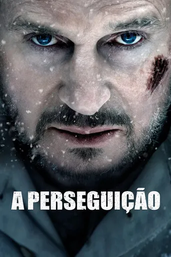 Pôster de A Perseguição (2012)