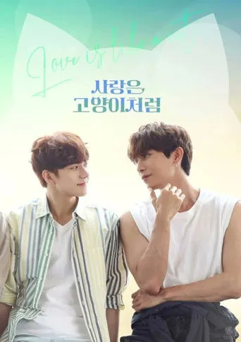 Pôster de Love is Like a Cat (2024)