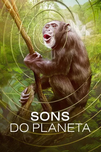 Pôster de Sons do Planeta (2024)